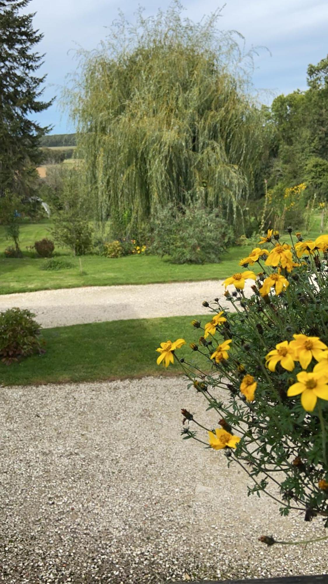 Pivoine Chambre D Hotes Fralignes Kültér fotó