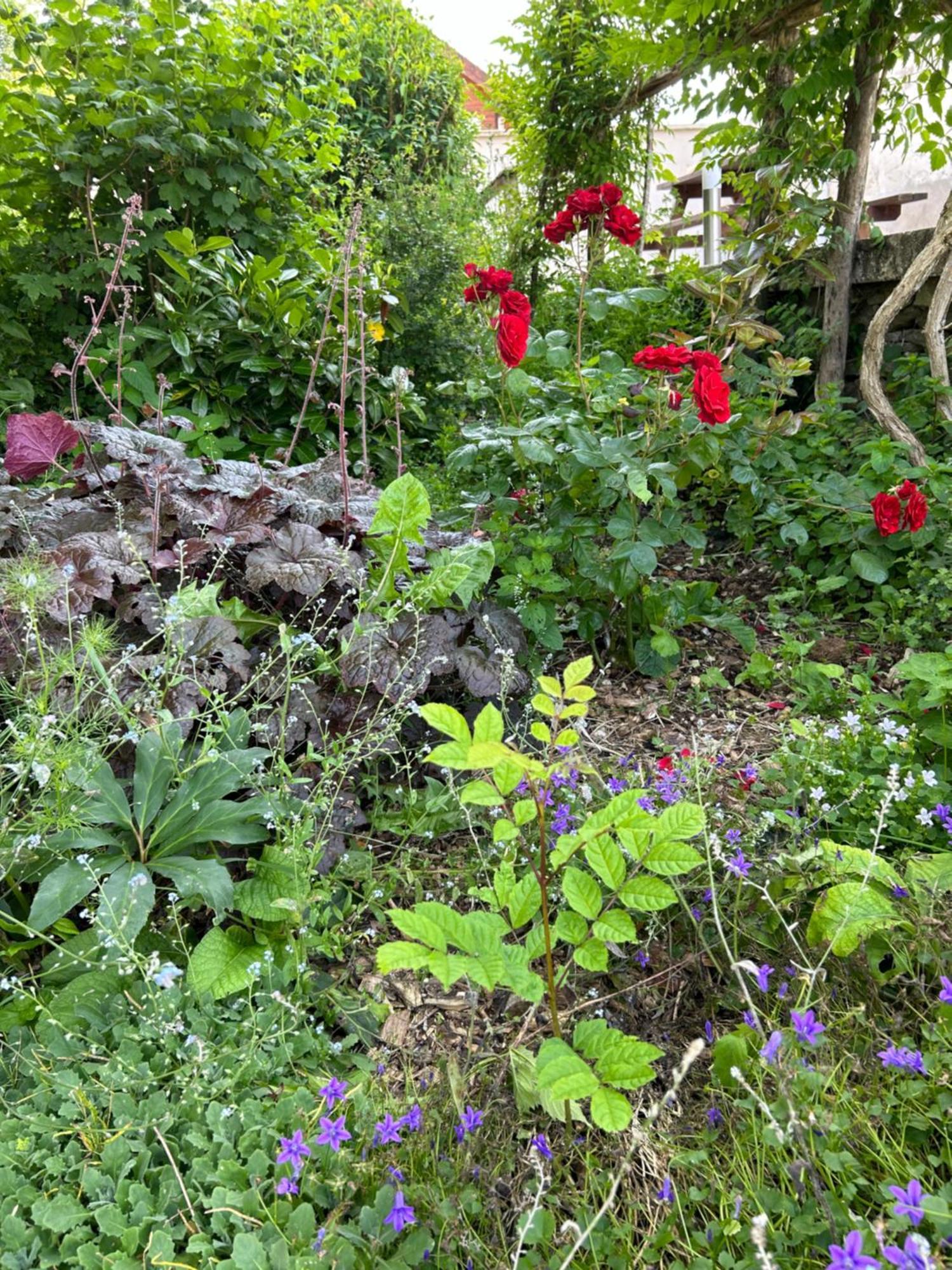 Pivoine Chambre D Hotes Fralignes Kültér fotó