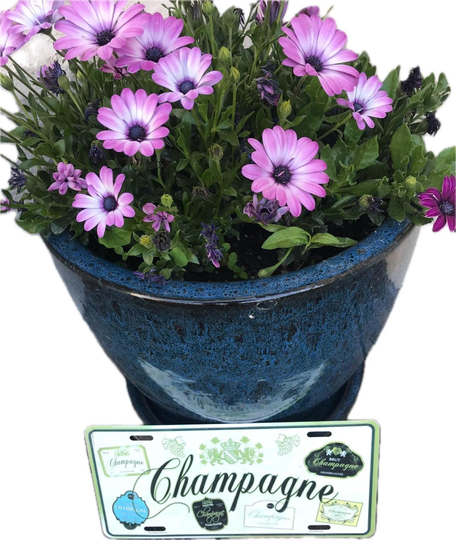 Pivoine Chambre D Hotes Fralignes Kültér fotó