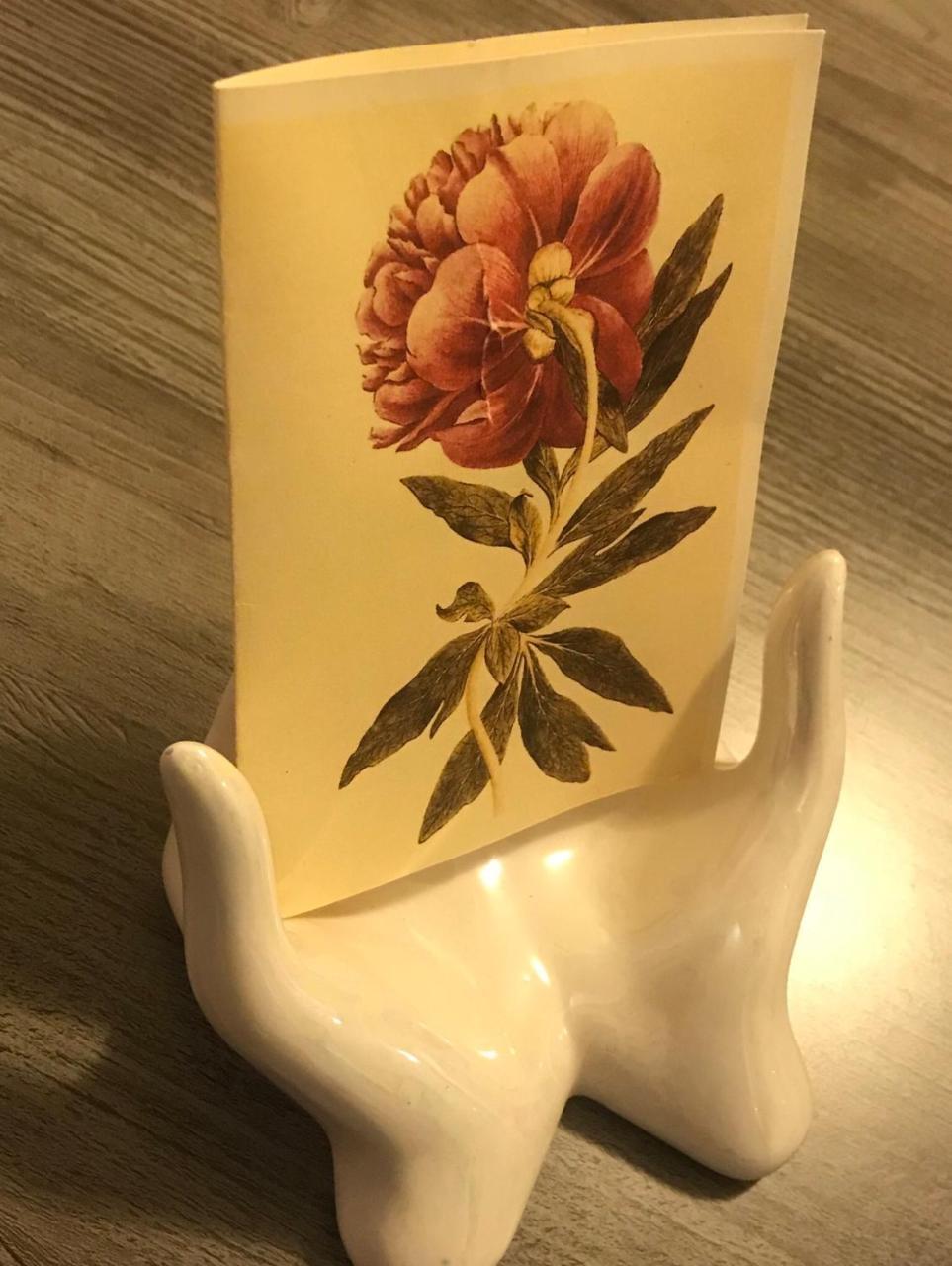 Pivoine Chambre D Hotes Fralignes Kültér fotó